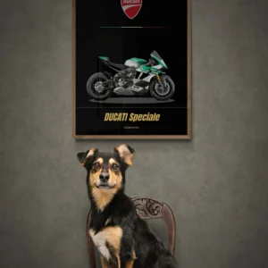 poster